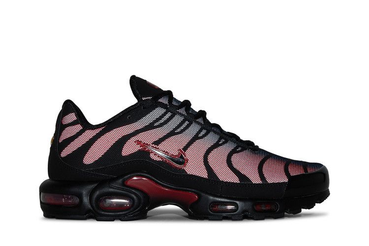 Nike Air Max Plus Bred Reflective