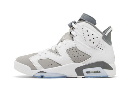 Air Jordan 6 Cool Grey