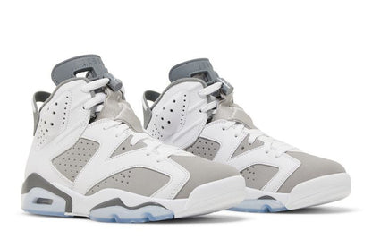 Air Jordan 6 Cool Grey