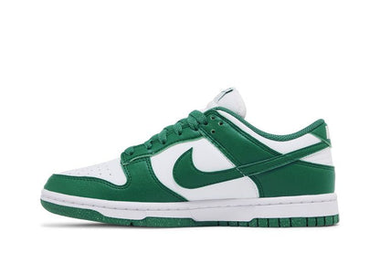 Nike Dunk Low Next Nature Bicoastal