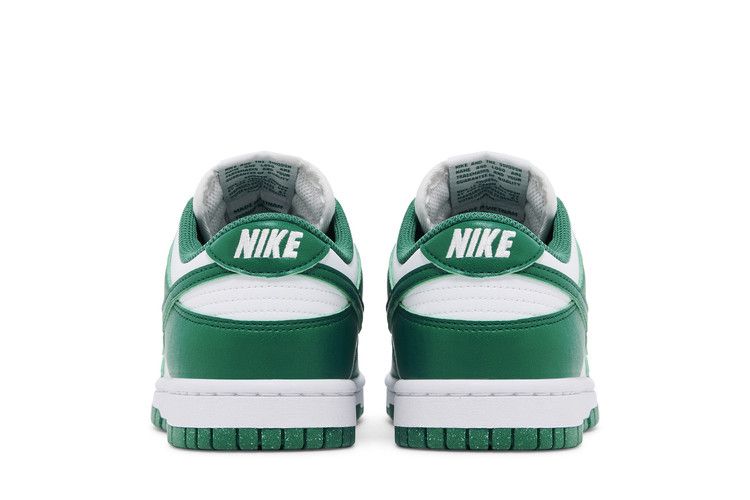 Nike Dunk Low Next Nature Bicoastal