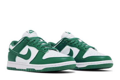 Nike Dunk Low Next Nature Bicoastal