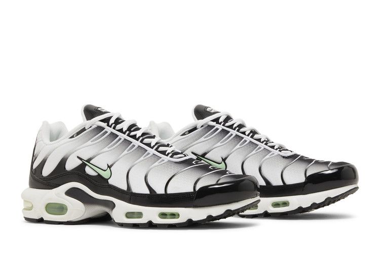 Nike Air Max Plus Seafoam Grey Black - DH4776-100