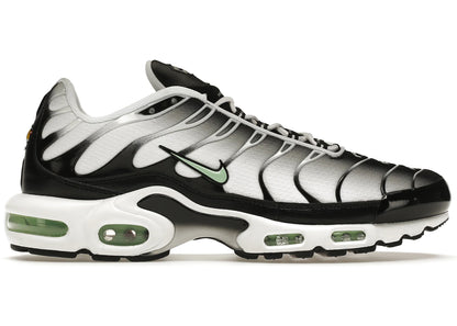 Nike Air Max Plus Seafoam Grey Black - DH4776-100